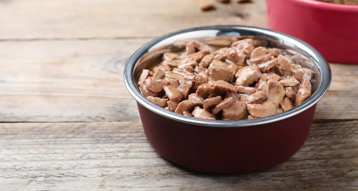 can you microwave dog food