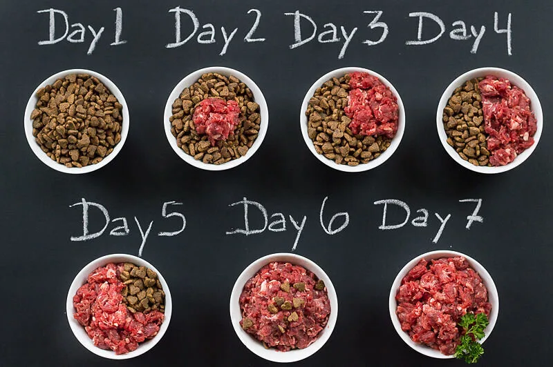 diet transition protocol
