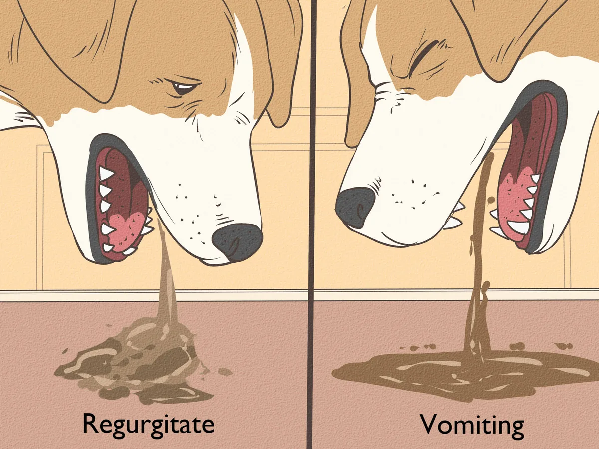 Gastroenteritis