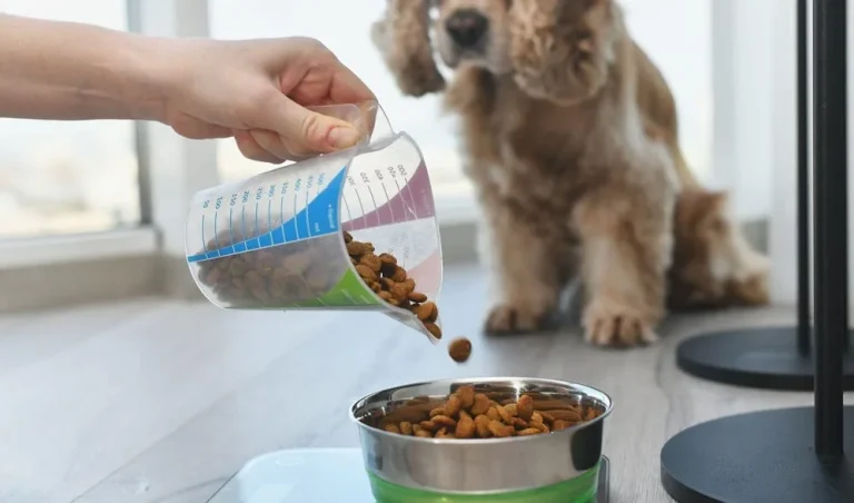 how many cups in pound of dog food