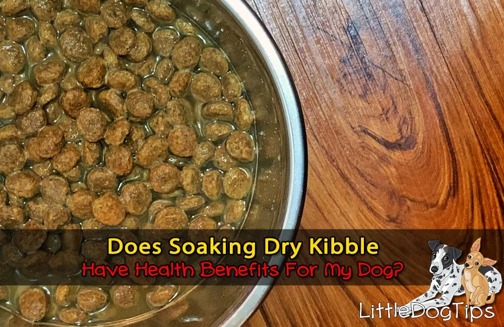 how to soften dog food