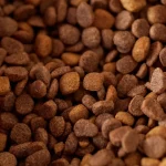 is dog food safe to eat for humans