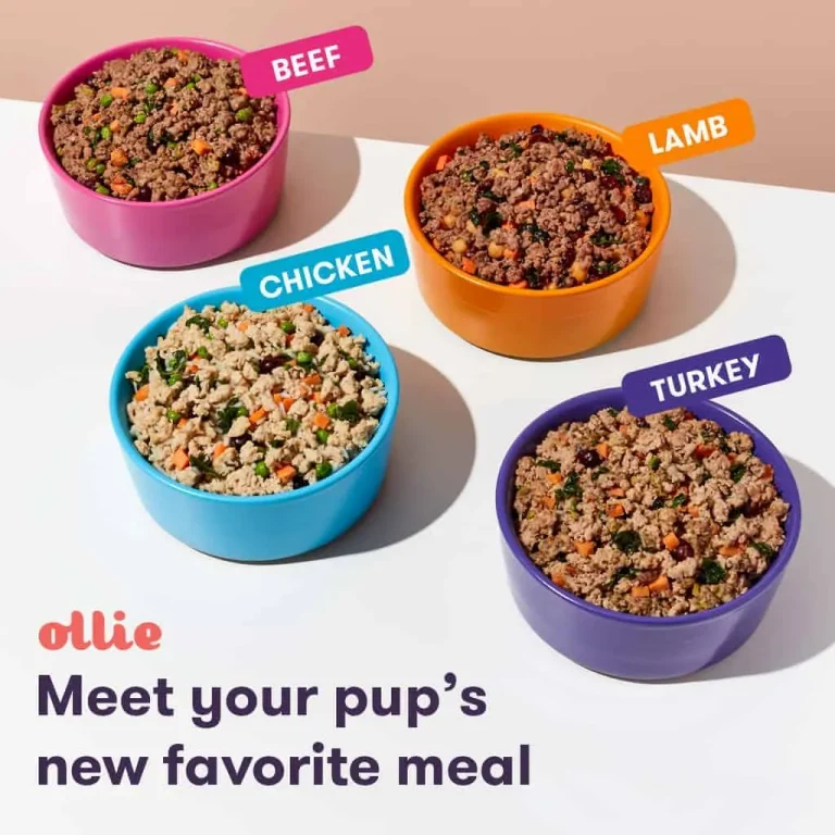 is ollie dog food organic