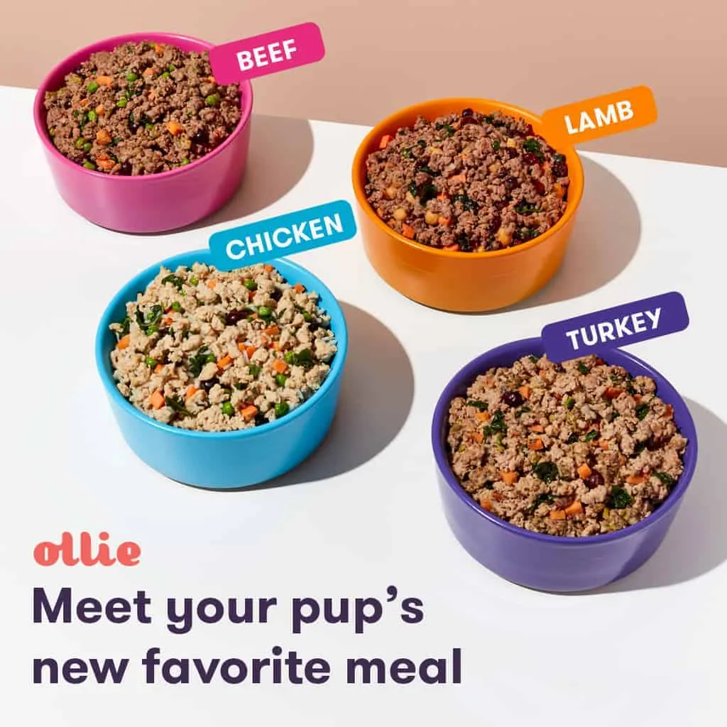 is ollie dog food organic