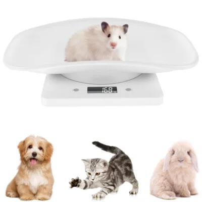 Kitchen scale