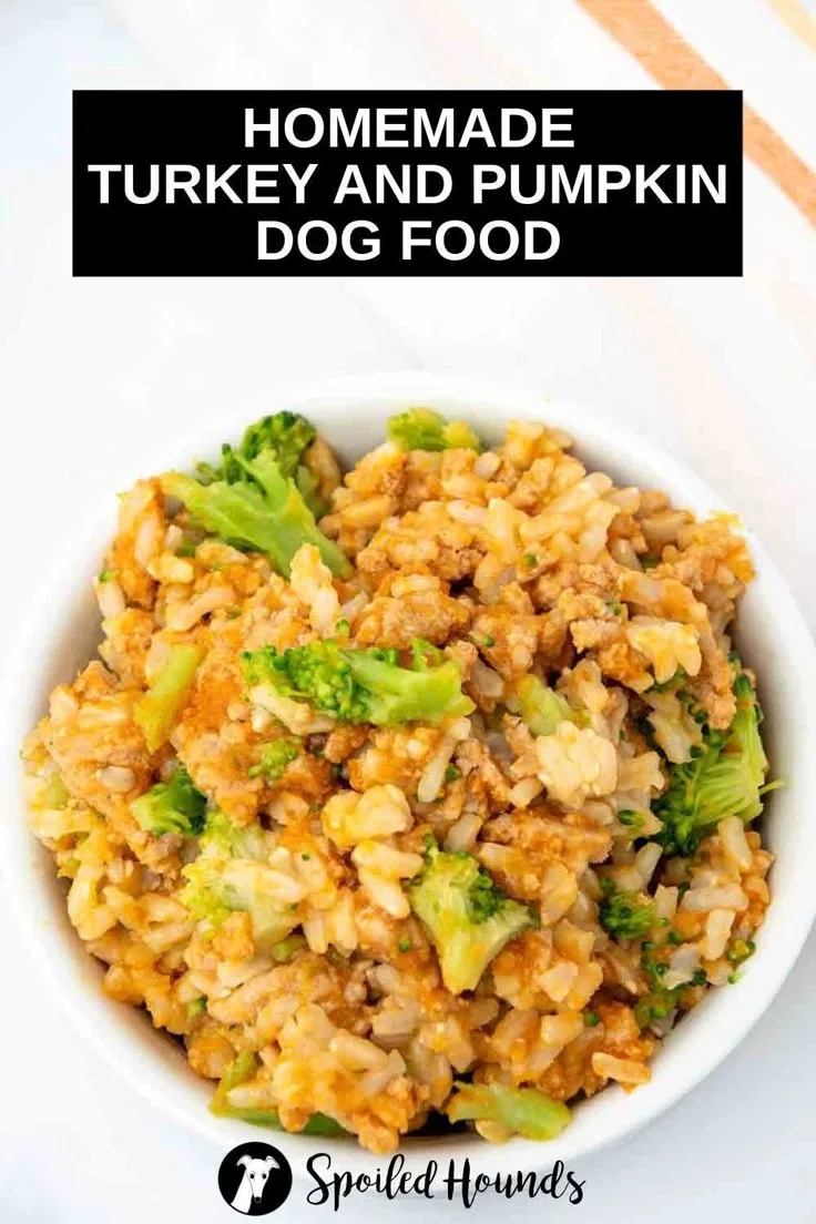what thanksgiving food can dogs eat